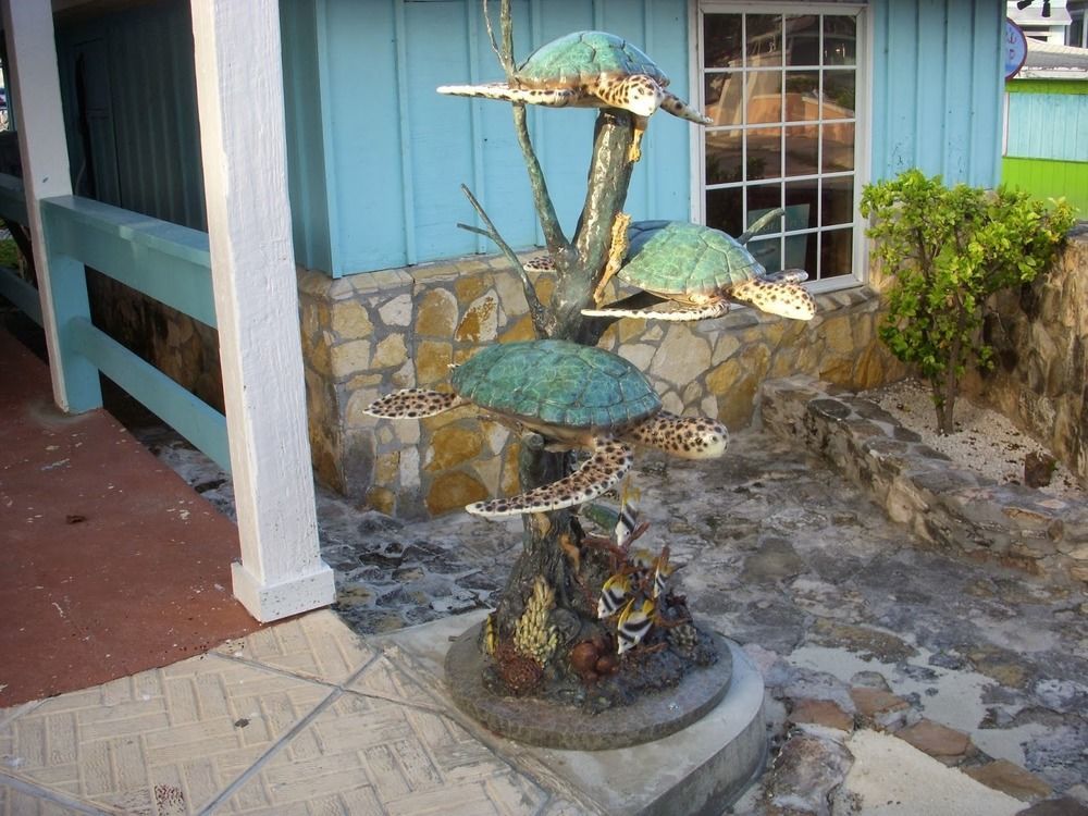 Two Turtles Inn George Town Exterior photo